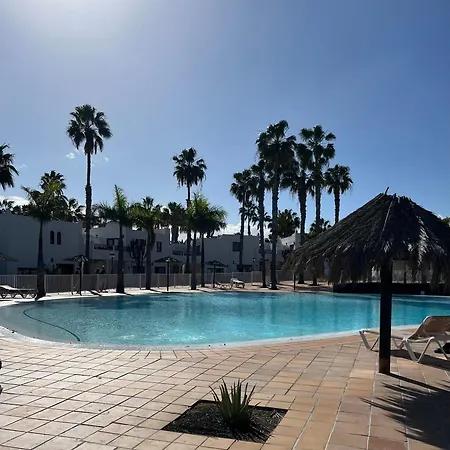 Seasons Oasis * كوراليهو